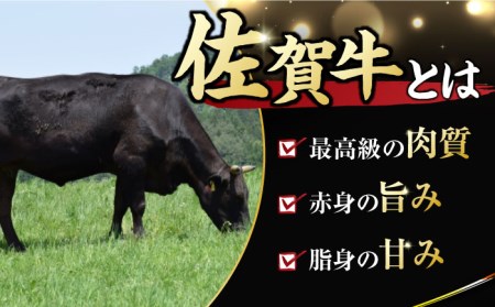 佐賀牛 ヒレステーキ 450gすてーき ヒレ 赤身[FDB013]