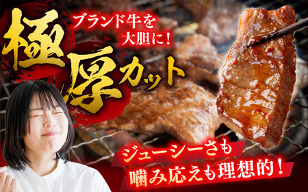 黒毛和牛 佐賀牛 焼肉用 1kg  (500g×2P) ※バラ・肩ロース・モモのいずれかの部位※ やきにく[FDB021]