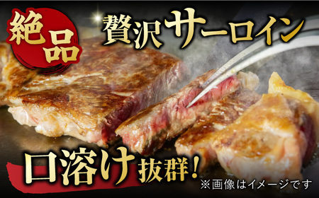 佐賀牛 ヒレ＆サーロインステーキ 食べ比べセット 計800g すてーき 黒毛和牛[FDB023]