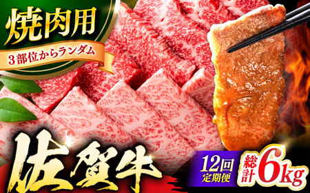【12回定期便】佐賀牛 焼肉用 計6kg (500g×12回)  ※バラ・肩ロース・モモのいずれの部位※ しゃぶしゃぶ すきやき[FDB035]