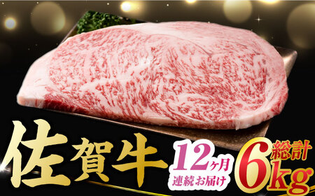 【12回定期便】佐賀牛 サーロインステーキ 計6kg (250g×2枚×12回) すてーき 黒毛和牛[FDB041]