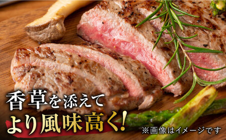 【12回定期便】佐賀牛 サーロインステーキ 計6kg (250g×2枚×12回) すてーき 黒毛和牛[FDB041]