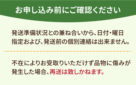 【12月～4月発送】いちごさん 計1kg以上（約250g×4P） 吉野ヶ里町/TZファーム イチゴ 苺 いちご いちごさん 甘い 果物 人気 旬 果物 [FDF001]