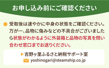 【12月～4月発送】いちごさん 計1kg以上（約250g×4P） 吉野ヶ里町/TZファーム イチゴ 苺 いちご いちごさん 甘い 果物 人気 旬 果物 [FDF001]