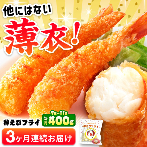 【全3回定期便】無頭「神えびフライ」9尾～11尾(400g)エビフライ 海老フライ えび エビ 海老 [FDE011]