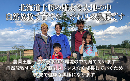鹿追産 自然放牧黒豚 12か月長期熟成ハモンセラーノ・無添加生ハム（80g×2） SKN011