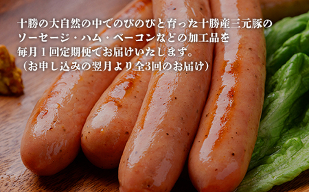 鹿追ソーセージファクトリー（定期便３ヶ月コース ） 【 ふるさと納税 人気 おすすめ ランキング 定期便 ソーセージ ベーコン ハム ポークソーセージ ベーコンブロック ボンレスハム 北海道 鹿追町 送料無料 】 SKD015