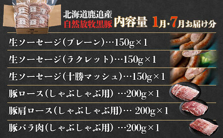 鹿追産 自然放牧黒豚 圧巻の豚肉おまかせ定期便（12ヶ月分） 【 ふるさと納税 人気 おすすめ ランキング 黒豚 自然放牧黒豚 ウインナー ソーセージ ベーコン 豚肉 加工肉 定期便 十勝 北海道 鹿追町 送料無料 】 SKN013
