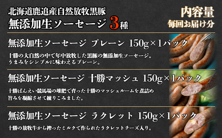 十勝鹿追町産　自然放牧黒豚　無添加生ソーセージ３種 定期便（12カ月）【 ふるさと納税 人気 おすすめ ランキング 黒豚 自然放牧黒豚 ウインナー ソーセージ ベーコン 豚肉 加工肉 定期便 十勝 北海道 鹿追町 送料無料 】 SKN015