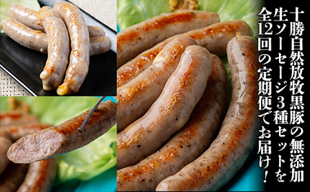 十勝鹿追町産　自然放牧黒豚　無添加生ソーセージ３種 定期便（12カ月）【 ふるさと納税 人気 おすすめ ランキング 黒豚 自然放牧黒豚 ウインナー ソーセージ ベーコン 豚肉 加工肉 定期便 十勝 北海道 鹿追町 送料無料 】 SKN015
