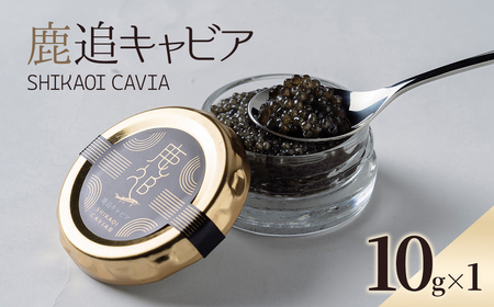 鹿追キャビア 10g×1 SKAF001