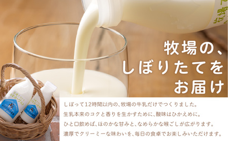 【定期3ヶ月】のむヨーグルト 900g ×2 SKB032