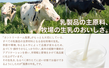 【定期3ヶ月】風景の牛乳 900ml ×3 SKB064