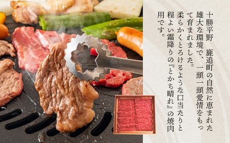 十勝鹿追産牛肉「とかち晴れ」　焼肉用 350g SKY003