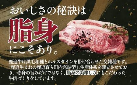 鹿追牛ロースステーキ（鹿追牛Dセット） 225g×2 SKA008 【 ふるさと納税 人気 おすすめ ランキング 牛 肉 牛肉 ミート ビーフ ロース ステーキ ビーフステーキ ロースステーキ 北海道 鹿追町 送料無料 】 SKA008