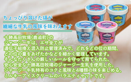 十勝ジャージーミルキーアイスクリームバラエティセットB SKM005 【 ふるさと納税 人気 おすすめ ランキング アイス アイスクリーム いちごアイス あずきアイス とうきびアイス 北海道 鹿追町 送料無料 】 SKM005