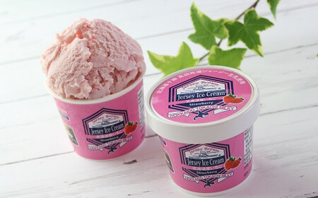 十勝ジャージーミルキーアイスクリームバラエティセットB SKM005