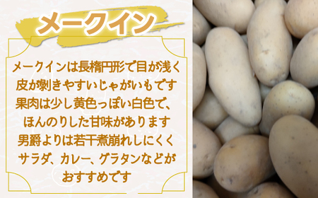 メークイン19kg 【 ふるさと納税 人気 おすすめ ランキング いも 芋 イモ じゃが芋 じゃがいも ジャガイモ メークイン 北海道 鹿追町 送料無料 】 SKW006