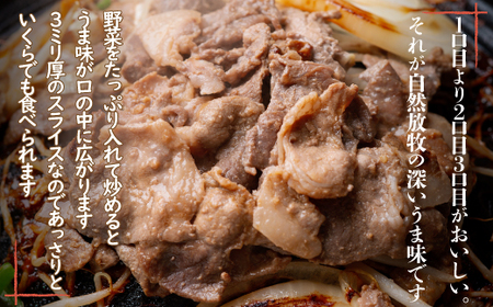 鹿追産 自然放牧黒豚ジンギスカンセット SKN002 【 黒豚 黒豚肉 豚肉 肉 豚 ジンギスカン 】 SKN002