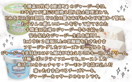十勝ジャージーカッサータ&フローズンヨーグルト・ミルキーアイス SKM011 【 ふるさと納税 人気 おすすめ ランキング チーズケーキ ケーキ チーズ ヨーグルト ミルキーアイス ジャージー 北海道 鹿追町 送料無料 】 SKM011