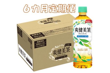 D1-008F 6カ月定期便 爽健美茶 600mlPET(計144本)