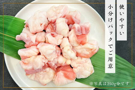 〈口どけなめらか〉梁井 ぷりぷりホルモン 1kg(小腸) K081036