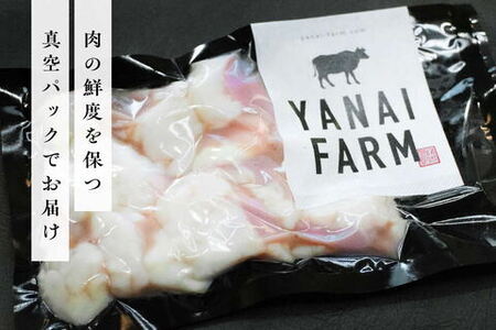 〈口どけなめらか〉梁井 ぷりぷりホルモン 1kg(小腸) K081036