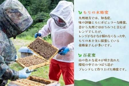 【6か月定期便】みよしのみつ(百花蜜・もちの木)220g×2本 K063396