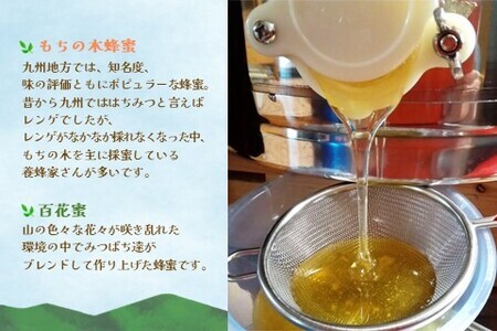 【3か月定期便】みよしのみつ(百花蜜・みかん・もちの木)220g×3本 K063398