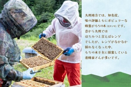 【3か月定期便】みよしの蜂蜜(もちの木)220g×1本 K063401
