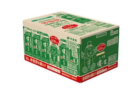 【隔月2回定期便】おーいお茶濃い茶 600ml×24本(合計2ケース) K071475