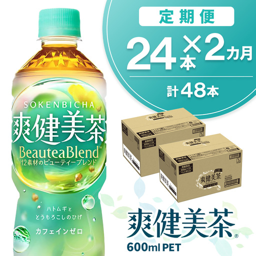 【2カ月定期便】爽健美茶 600mlPET×24本(合計2ケース) K090455