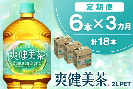 【3か月定期便】爽健美茶 2L×6本(1ケース) K090500 9,360円
