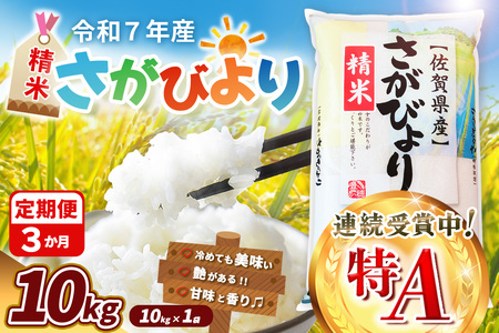 【令和7年産米】【3カ月定期便】さがびより 10kg K018370