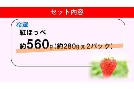 【ふるなび限定】【新農場オープン記念】【先行受付 2026年1月より発送】【農場直送！】紅ほっぺ(約280g×2P) K100015