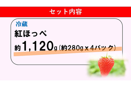 【ふるなび限定】【農場直送いちご】紅ほっぺ(約280g×4P) K100016 FN-Limited-PR