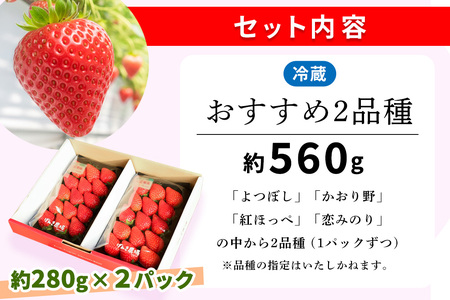 【ふるなび限定】【新農場オープン記念】【先行受付 2026年1月より発送】【農場直送！】いちご2品種食べ比べ(約280g×2P) K100019