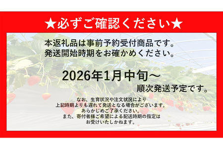 【ふるなび限定】【新農場オープン記念】【先行受付 2026年1月より発送】【農場直送！】いちご2品種食べ比べ(約280g×2P) K100019