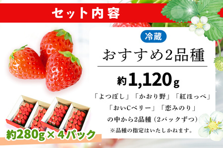 【ふるなび限定】【農場直送いちご】いちご2品種食べ比べ(約280g×4P) K100020 FN-Limited-PR