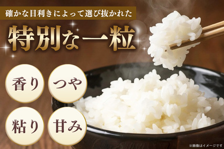 【令和7年産米】五ツ星お米マイスター厳選 さがびより 無洗米 5kg K103007