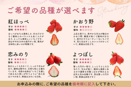 【ふるなびWEEK対象】【農場直送いちご】選べる2品種セット（約280g×2パック）K100031 FN-Limited-WE
