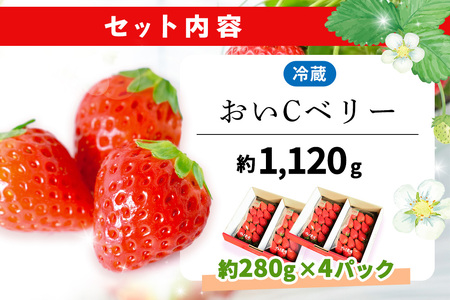 【ふるなび限定】【農場直送いちご】おいCベリー(約280g×4P)K100038 FN-Limited-PR