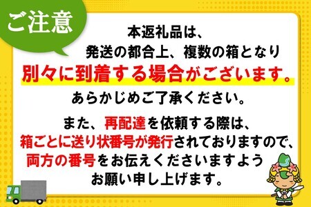 【2025年1月13日で掲載終了】爽健美茶 2L(3ケース)計18本【コカコーラ カフェインゼロ 香ばしい おいしい 国産 ブレンド茶 お茶 ハトムギ 玄米 月見草 大麦 ドクダミ 植物素材 飲料 お徳用 ペットボトル】 A4-F047081