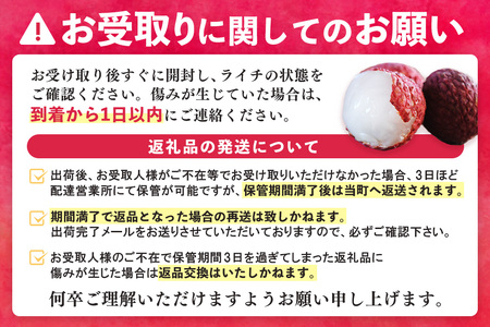 【先行受付】佐賀県産ライチ 1kg(贈答用) K060010