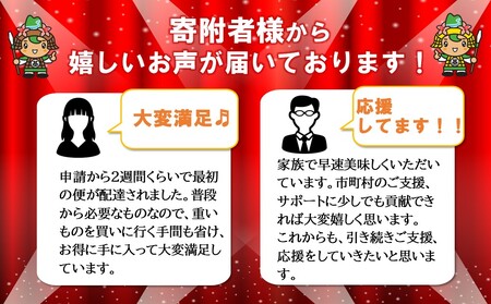  【2025年1月13日で掲載終了】カナダドライ トニックウォーター 500mlPET(2ケース)計48本【コカコーラ 強炭酸 シトラス ほろ苦 お酒 炭酸 飲料 甘さ控えめ ドリンク 常備 保存 買い置き 24本×1ケース 常備 保存 買い置き】 A6-F047049