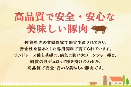 肥前さくらポーク詰合せAセット(ロースとんかつ用・ロース生姜焼き用)【JA トンカツ 生姜焼き 美味しい やわらか ジューシー 安全 高品質 ビタミン タンパク質豊富 限定生産 冷凍】 A3-F012007