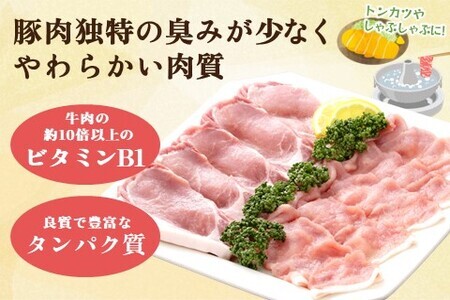 肥前さくらポーク詰合せBセット(ロースとんかつ用・ロースしゃぶしゃぶ用)【JA トンカツ しゃぶしゃぶ 美味しい やわらか ジューシー 安全 高品質 ビタミン タンパク質豊富 限定生産 冷凍】 A3-F012008