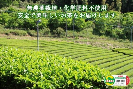 【無農薬栽培】基山茶高級煎茶2袋セット【お茶 緑茶 基山茶 基山町 高級 煎茶 旨み 渋み 美味しい 無農薬】 A4-F009001