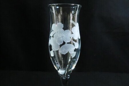 桜の食前酒トールグラス(2個入) K024077