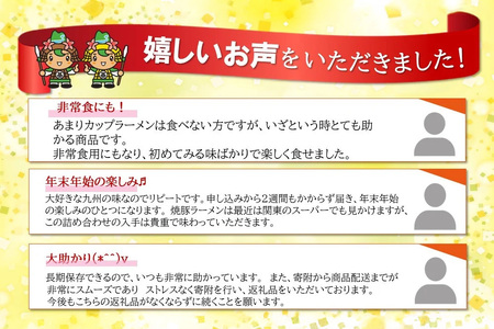 焼豚ラーメン・カップ麺詰合せ 計24食入(12食×各1ケース) K001044